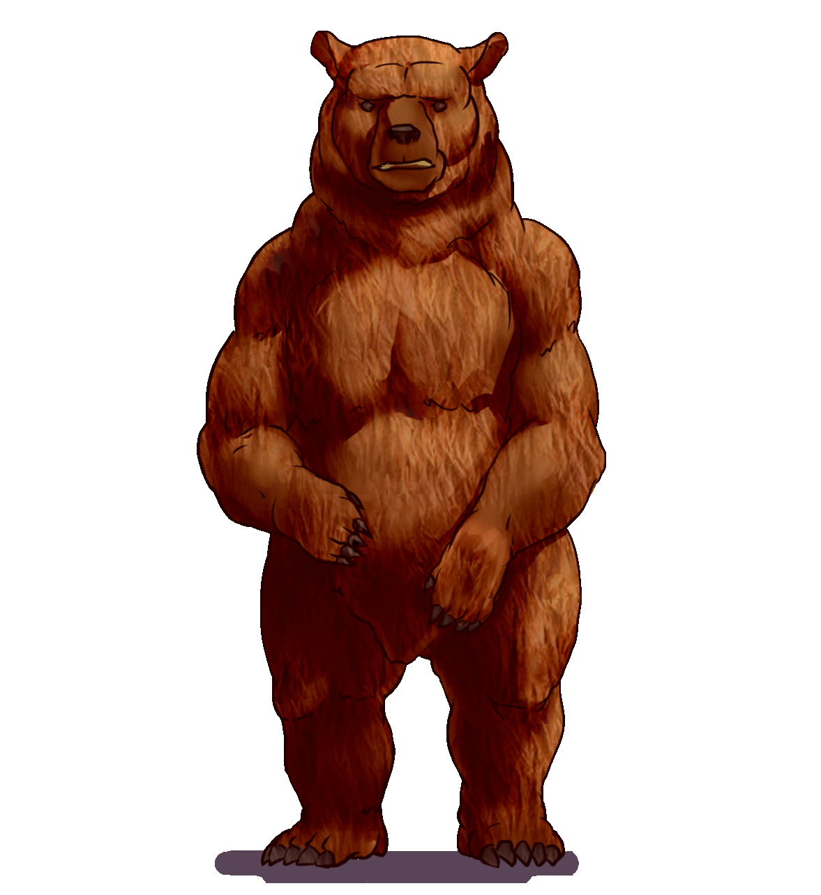 BearSmile350_Misc