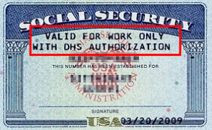 ssn1